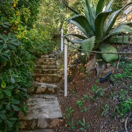 Villa La Avec Vue Panoramique Sur La - Parking Prive - Jacuzzi Menton